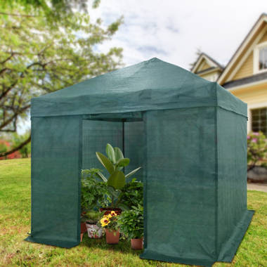 EAGLE PEAK Pop Up Greenhouses 10' x 10' Pop-Up Hobby Greenhouse